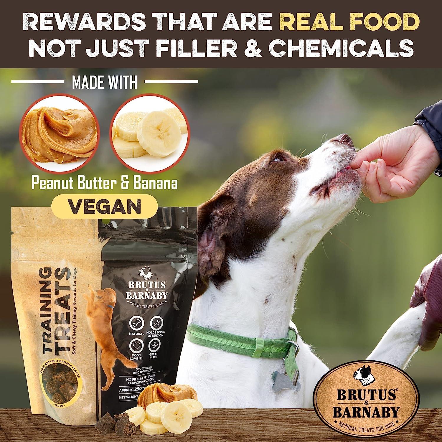 Vegan peanut butter banana dog treats, natural training rewards for dogs, made in USA