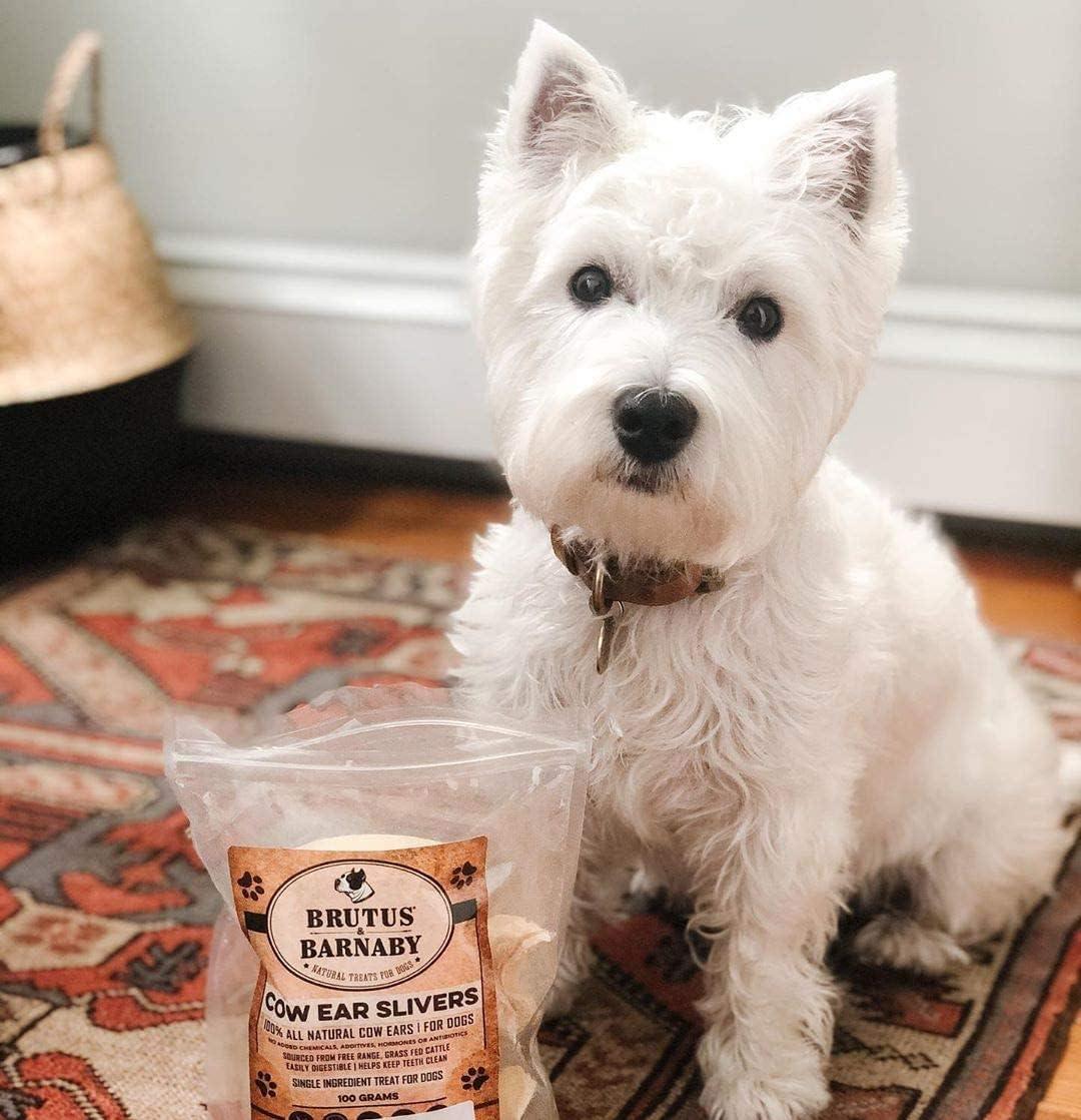 White dog with all-natural cow ear slivers treat bag, USA-made dog chews for safe digestion