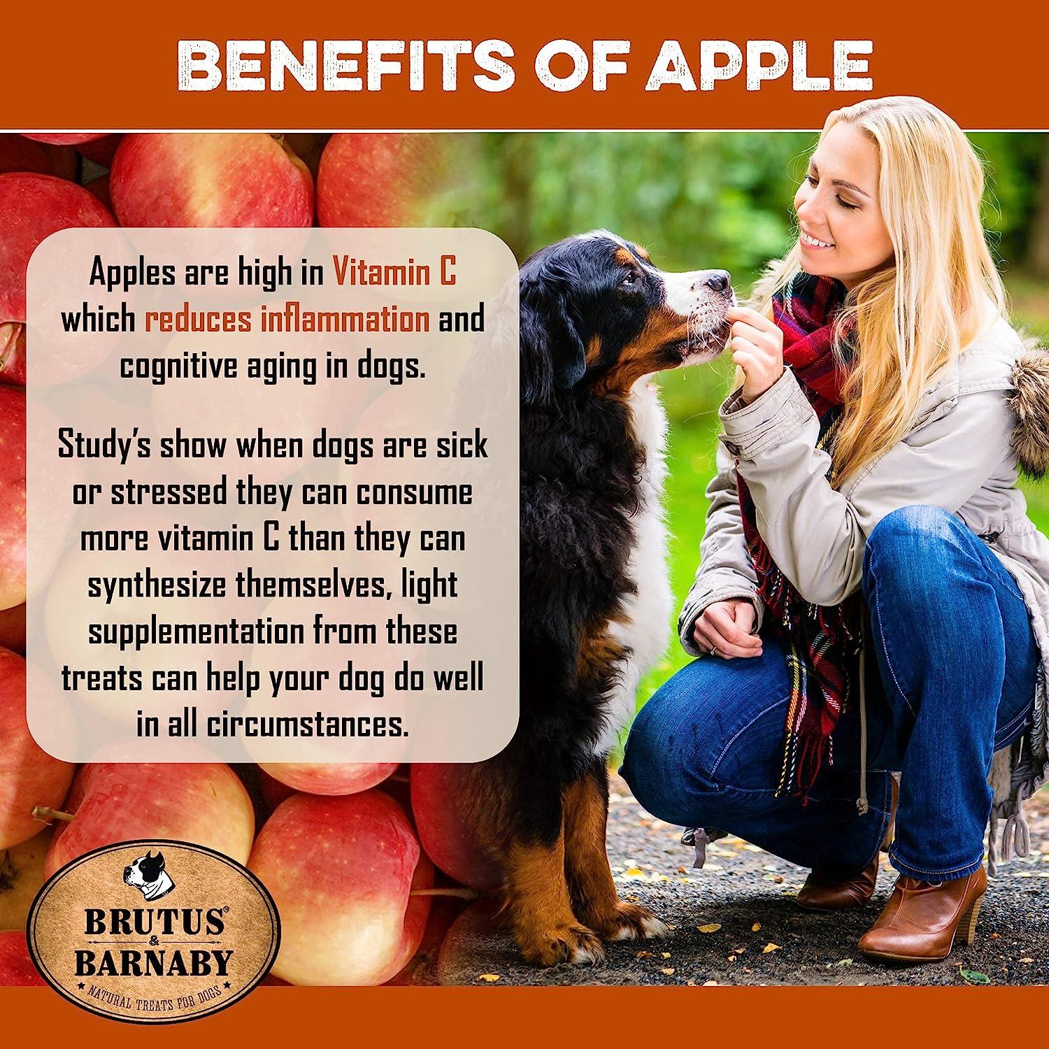 Woman feeding dog apple treat; highlights Vitamin C benefits for canine health and digestion