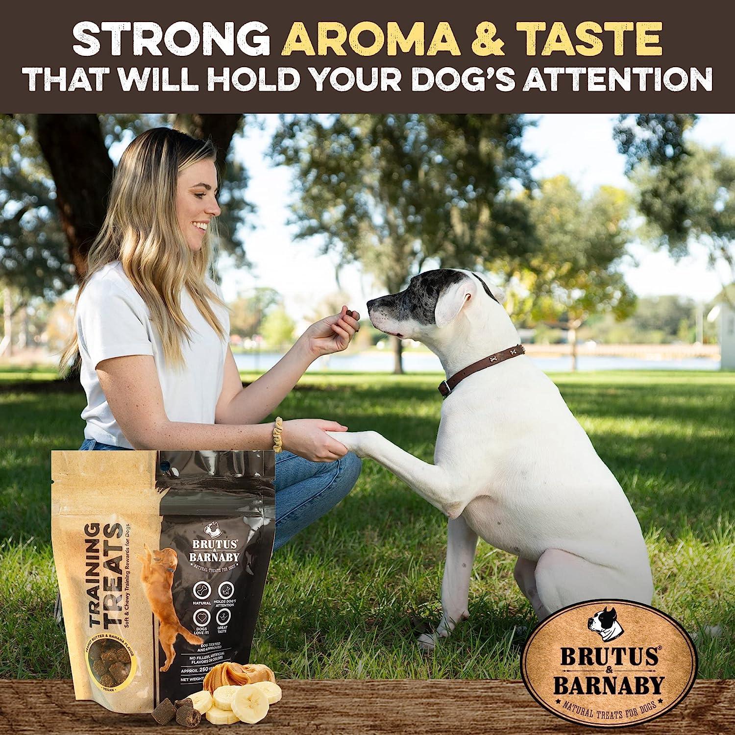 Woman giving natural dog training treats to happy dog outdoors, featuring peanut butter & banana flavor