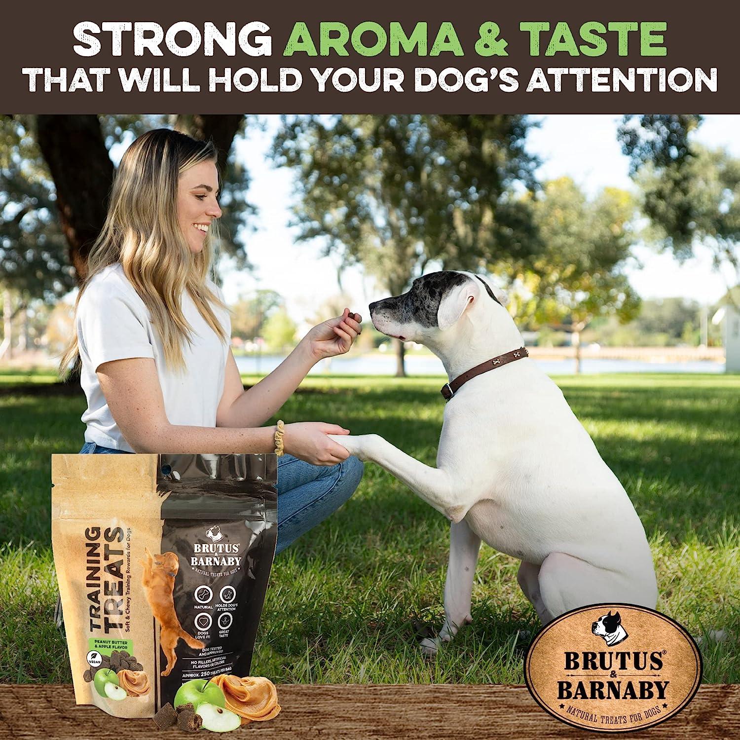 Woman giving natural peanut butter & apple dog training treats to happy pup outdoors