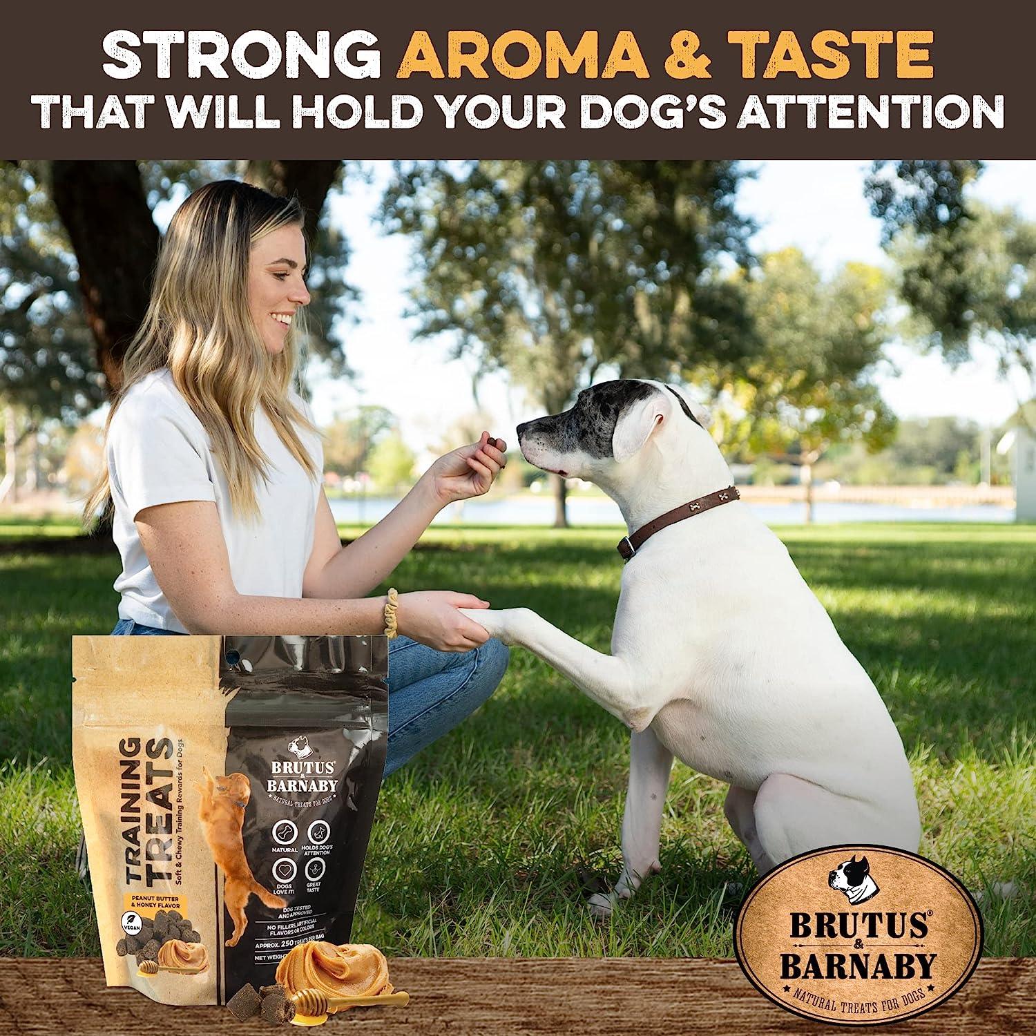 Woman giving peanut butter & honey dog training treats to happy dog outdoors, all-natural USA-made chews