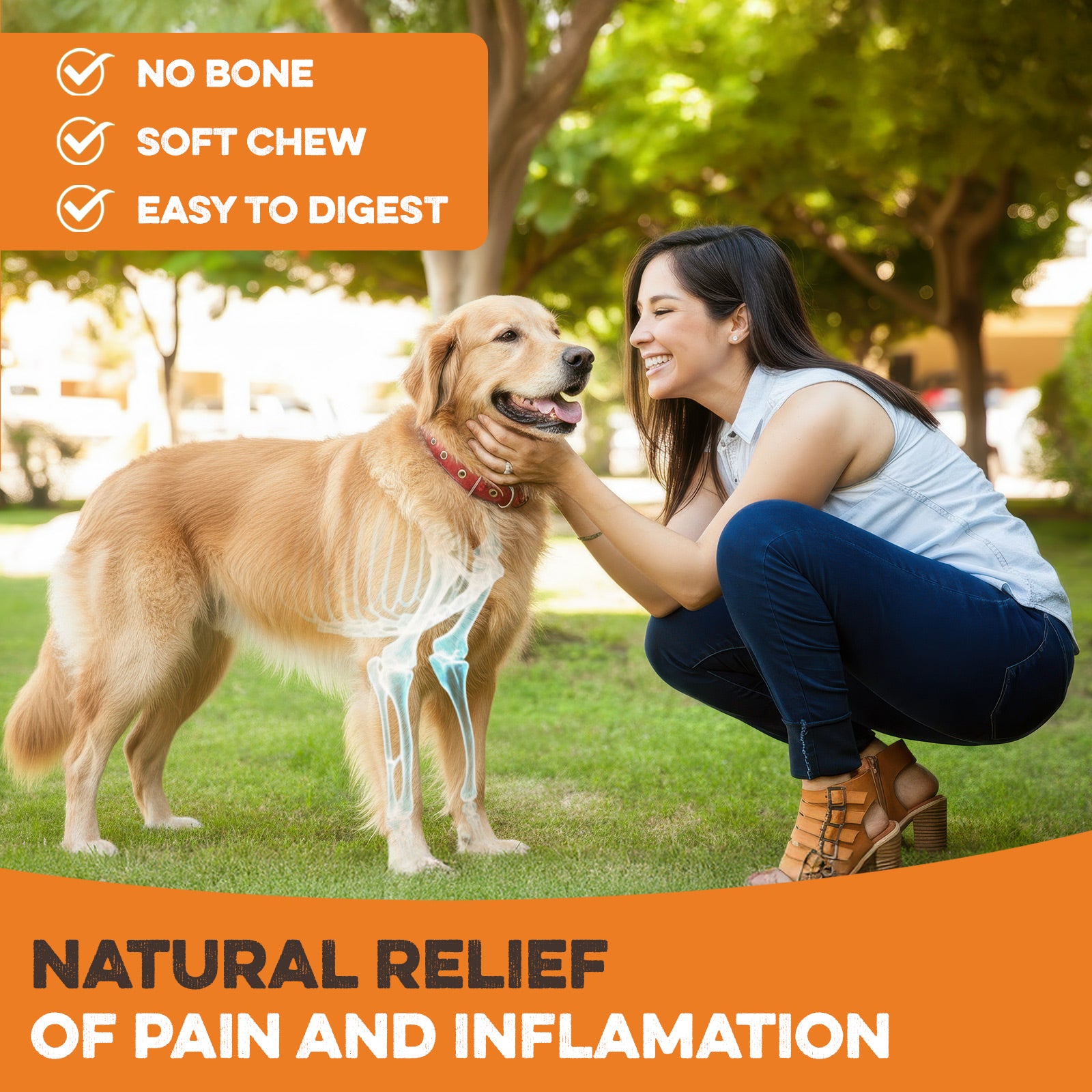 Woman petting golden retriever with visible skeleton, highlighting natural pain relief, no bone, soft chew, easy to digest dog treat