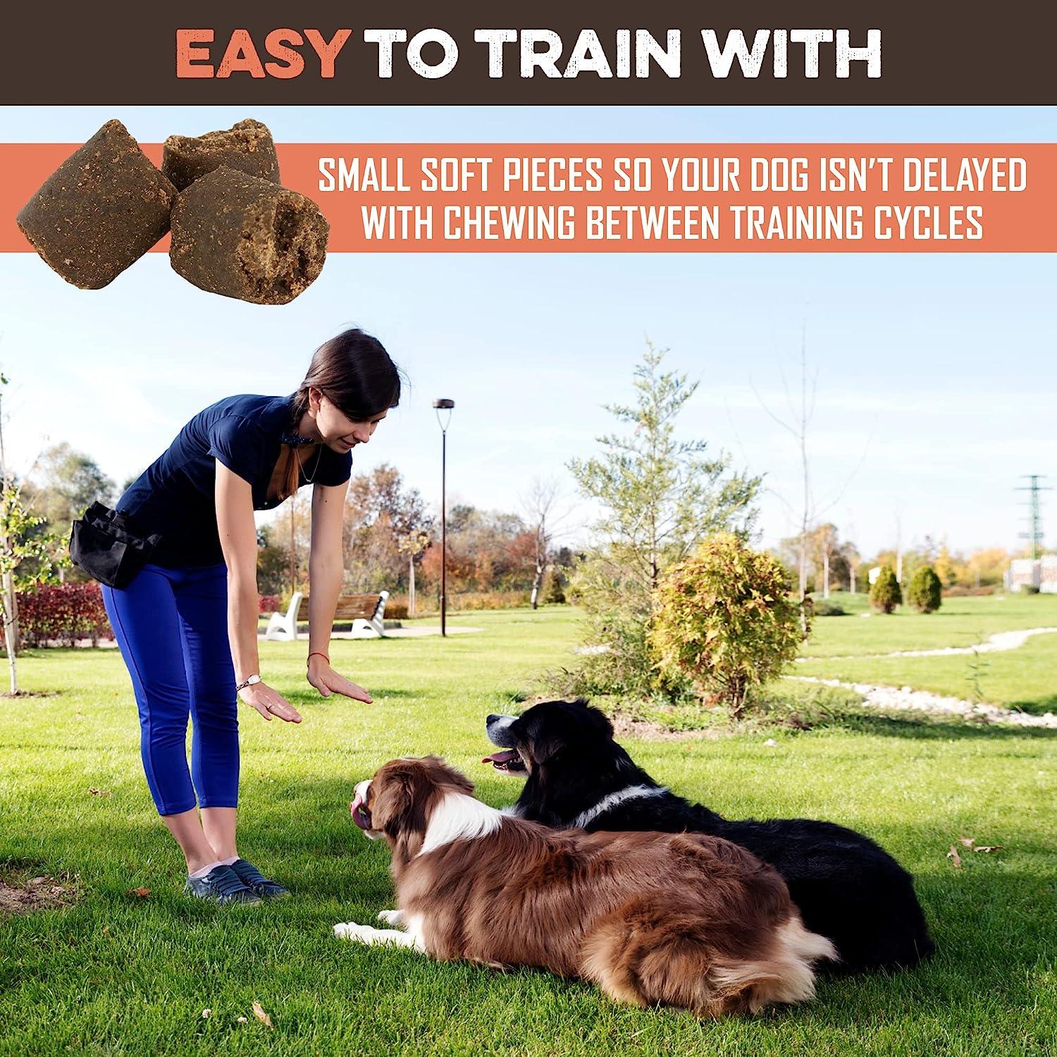 Woman training two dogs outdoors with small soft all-natural dog treats for easy training sessions