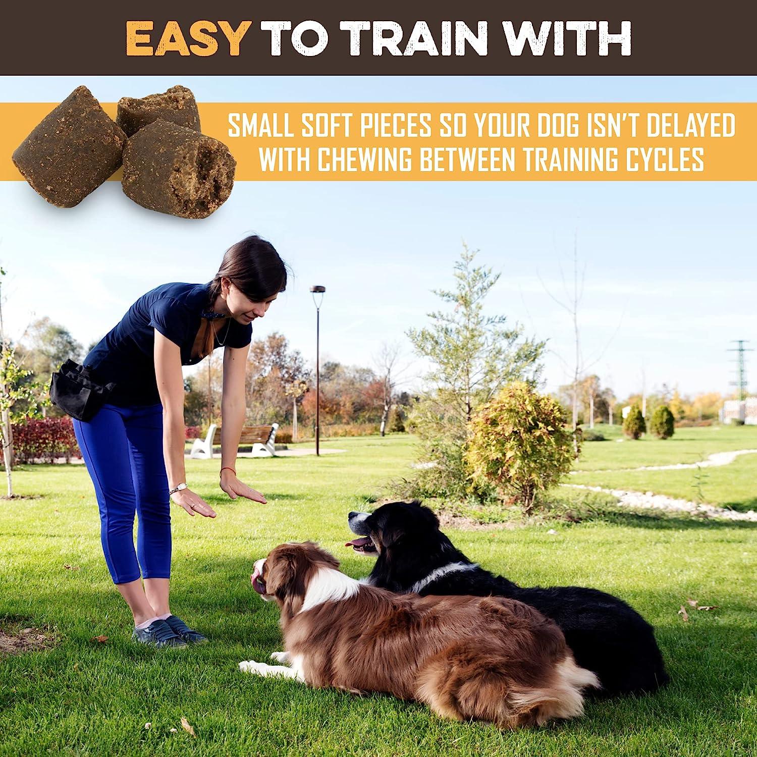 Woman training two dogs outdoors with small soft all-natural dog treats ideal for training sessions