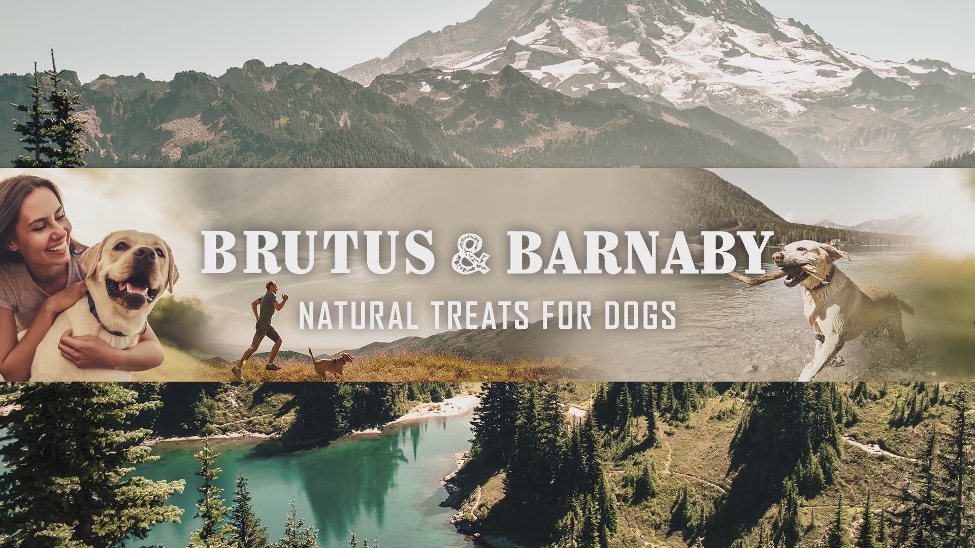 Brutus & Barnaby Cover Video.mp4__PID:b5fca7b0-eb53-4587-aad1-052fc2fd1e28