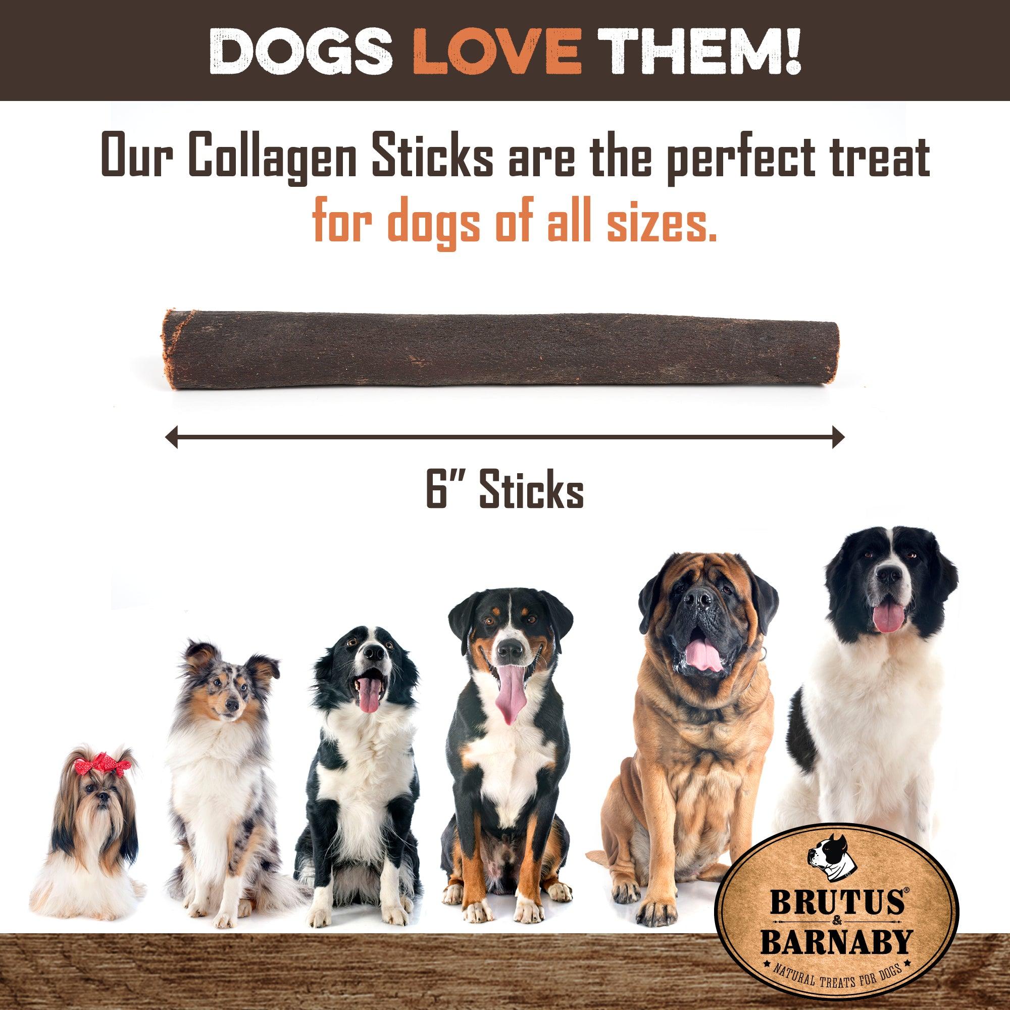 6-inch collagen stick dog treat for all sizes, natural chew for dogs, safe & digestible