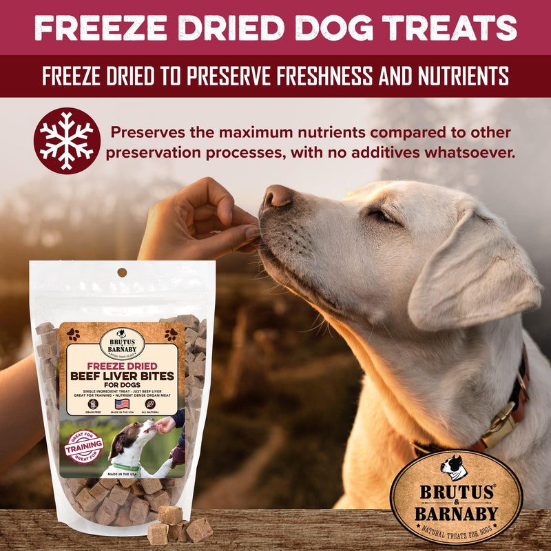Freeze Dried Beef Liver Bites Dog Treats