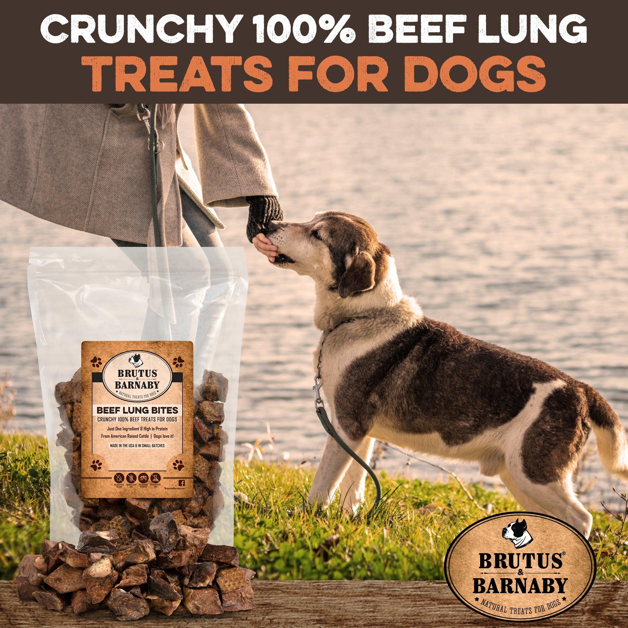 Beef Lung Bites - Brutus & Barnaby