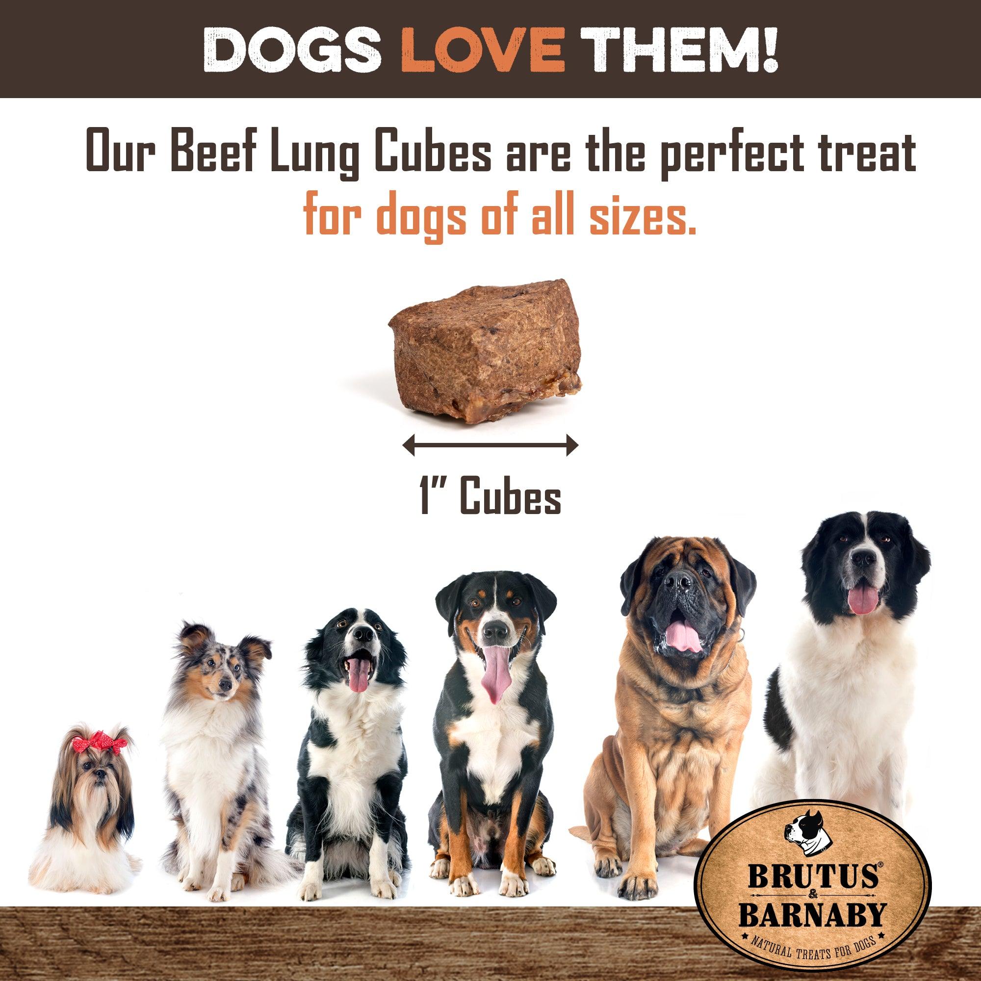 Beef Lung Bites - Brutus & Barnaby