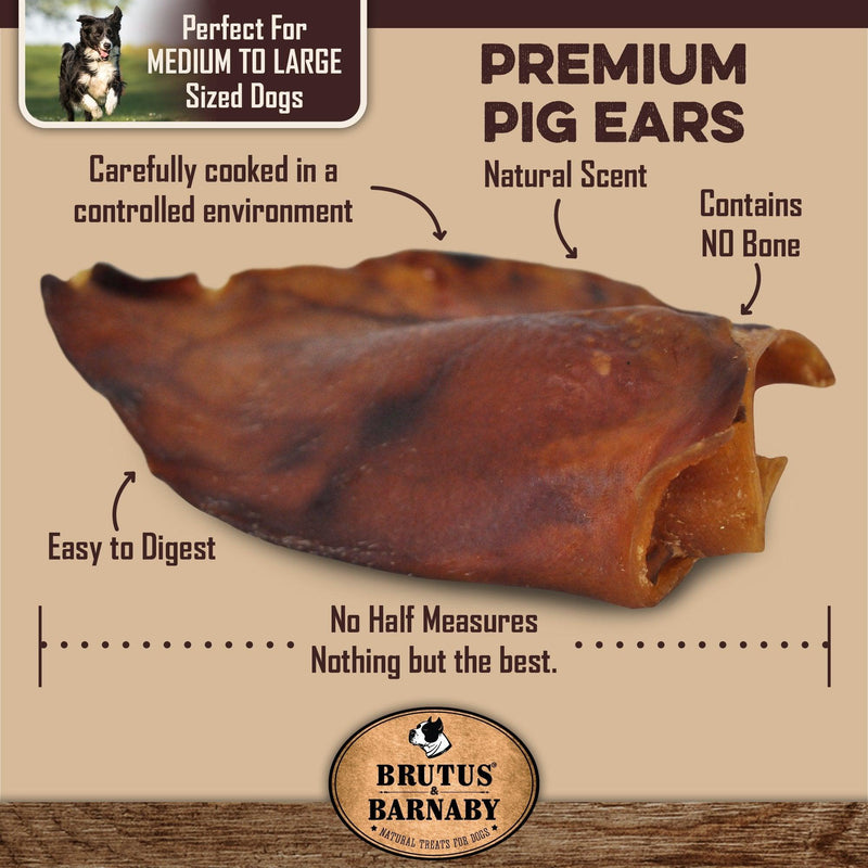 Premium Pig Ears - Perfect for Medium to Large Dogs