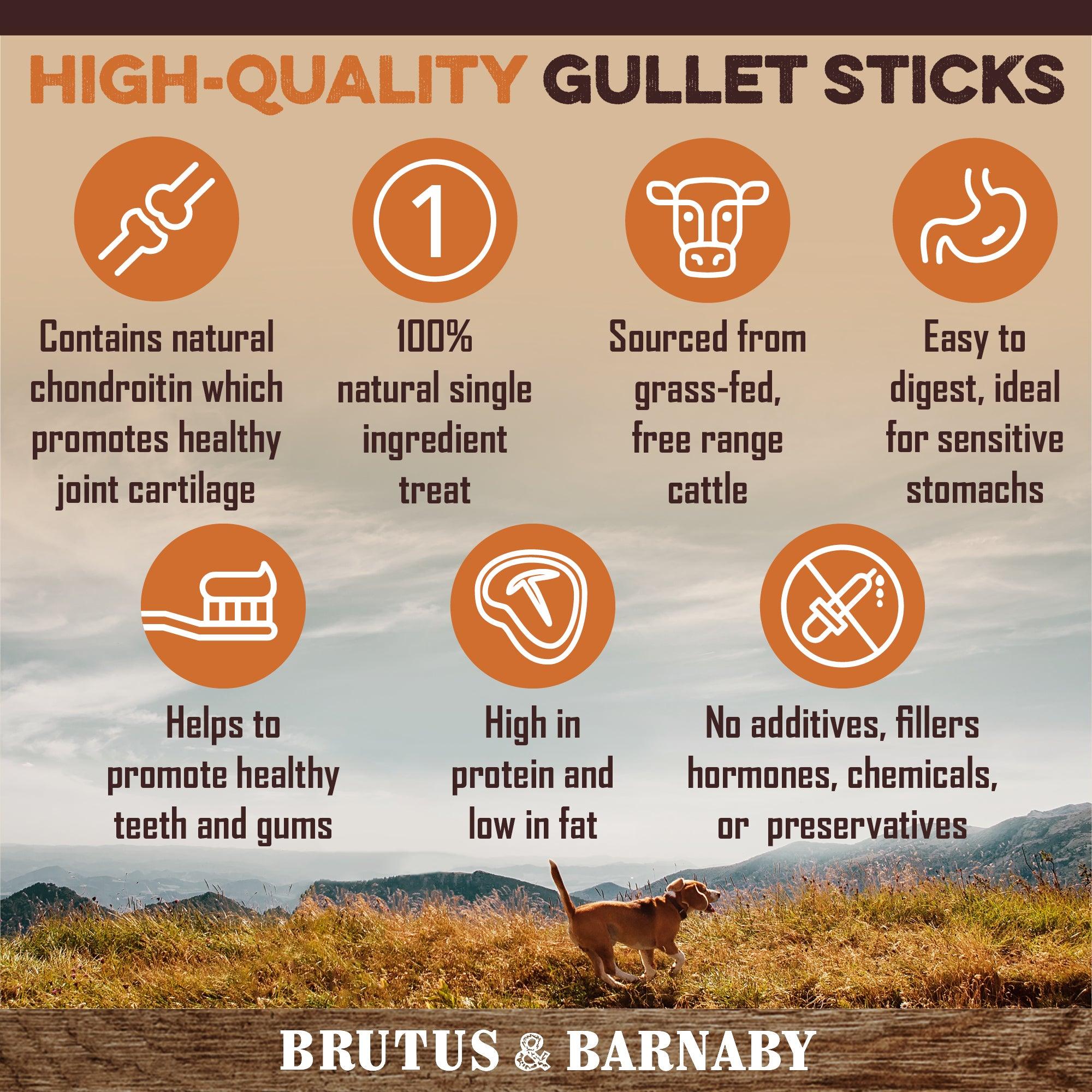 High-quality gullet sticks for dogs: natural, single-ingredient, grass-fed cattle treats, easy to digest, high protein, no additives