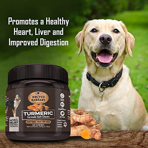 Brutus and Barnaby Turmeric Chews For Dogs promote a healthy heart, liver and improved digestion