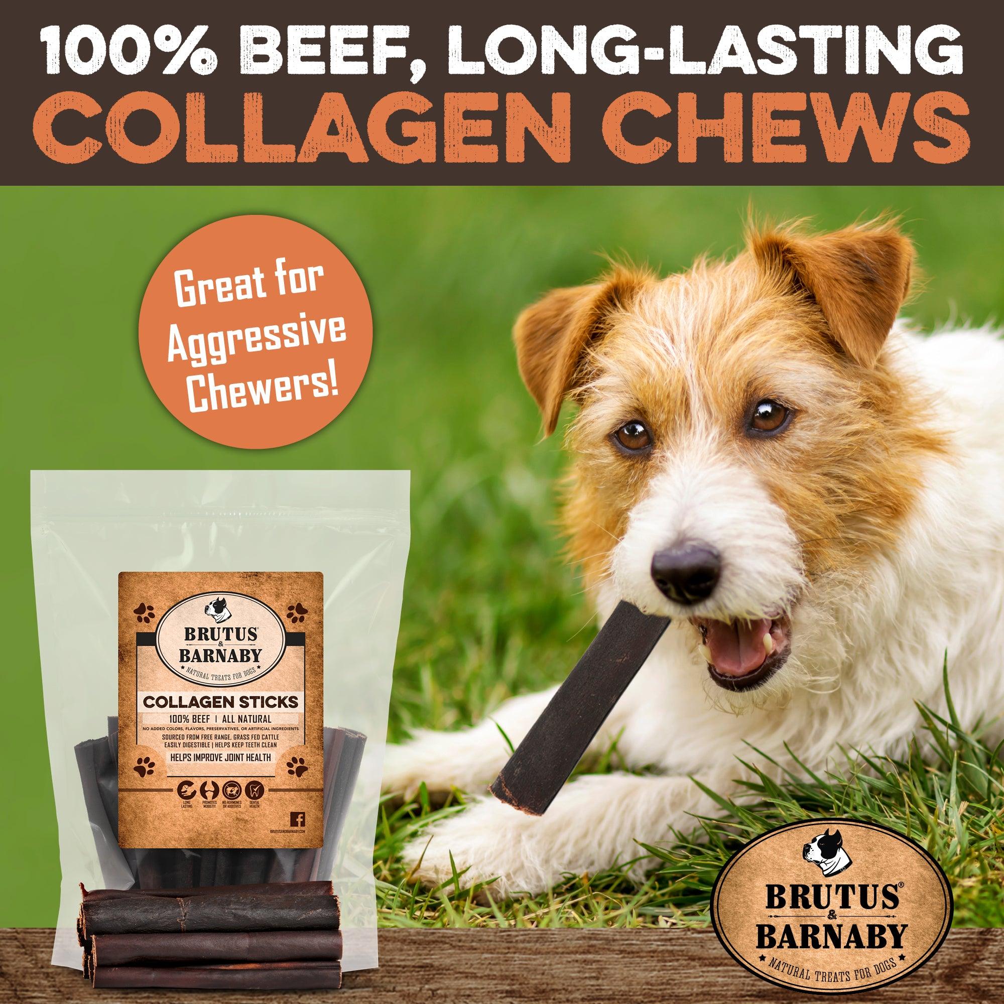 Dog chewing 100% beef collagen stick, long-lasting natural chew for aggressive chewers, grassy outdoor scene